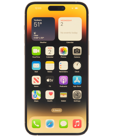 iphone-14-pro-max-10032927
